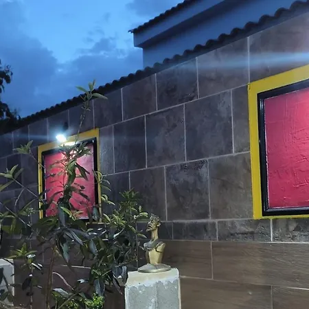 1 Homestay *